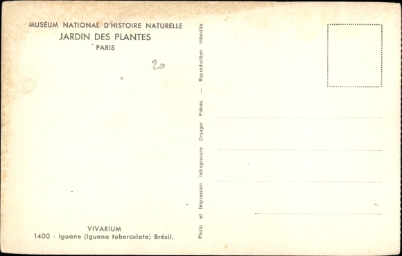 Postcard Paris, Jardin des Plantes, National Museum of Natural History, Vivarium, Iguana, Leguan
