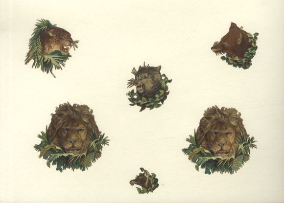 6 wafers wild animals, lion, tiger, fox, approx. 8 x 8 cm to 2.5 x 3.5 cm