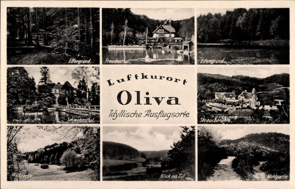 Postcard Oliva Gdańsk Danzig, Elfengrund, Freudenthal, Strauchmühle