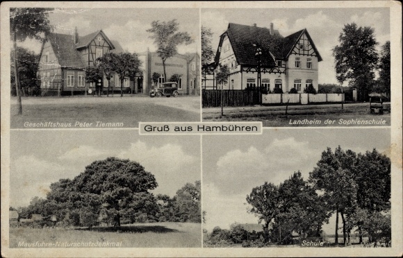 Postcard Hambühren in Lower Saxony, country home of the Sophienschule, commercial building, school