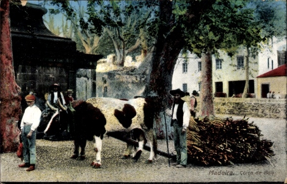 KP wyspa Madera Portugalia, lasy, krowy, rolnicy, wiejska atmosfera, tradycja