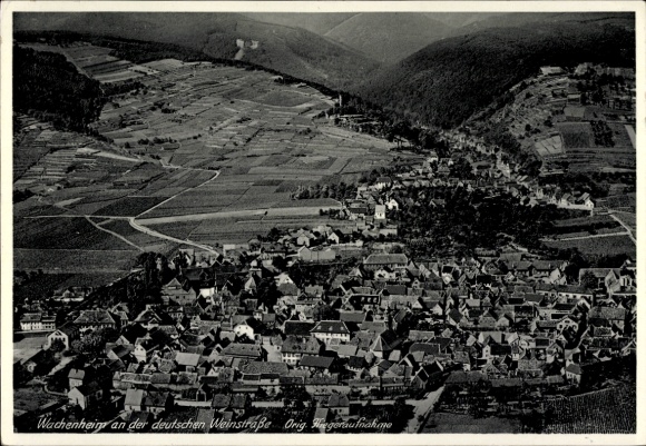 Wachenheim an der Weinstraße Pfalz, aerial photograph