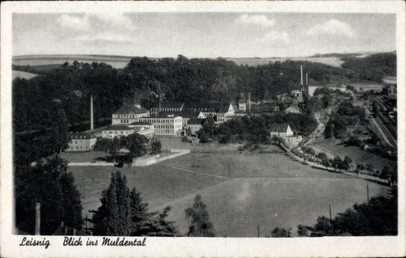 Ak Leisnig in Sachsen, Landschaftsaufnahme, Muldental, Fabrikgebäude, Bäume, Straße