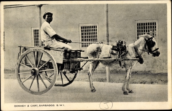 Postcard Barbados, Donkey Cart, Eselskarren