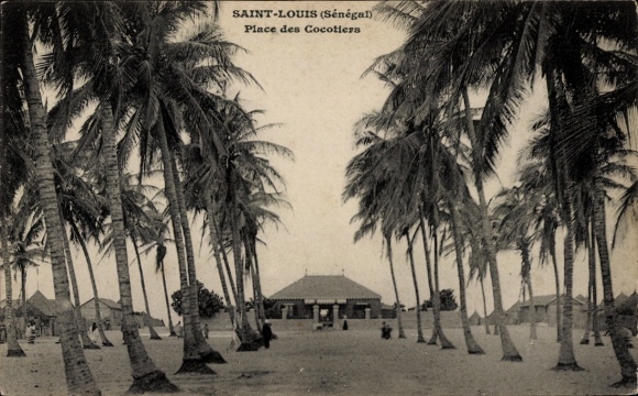 Ak Saint Louis Senegal, Place des Cocotiers, Palmen