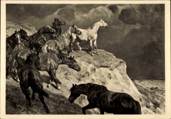 Artist Postcard Roloff, Alfred, HDK 527, In Freedom, Wild Horses, Cliffs