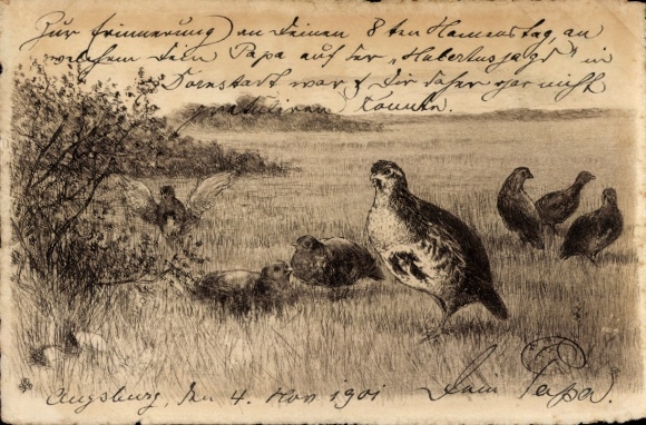 Artist Postcard Partridges, Landscape