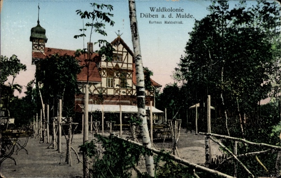Postcard Bad Düben an der Mulde Saxony, forest colony, spa house Waldschloss