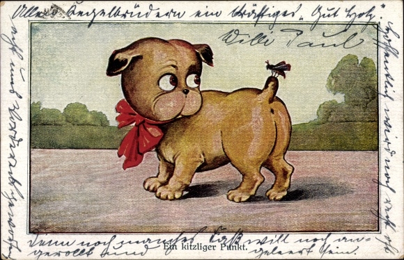 Postcard A ticklish point fly sits on the tail of a small dog