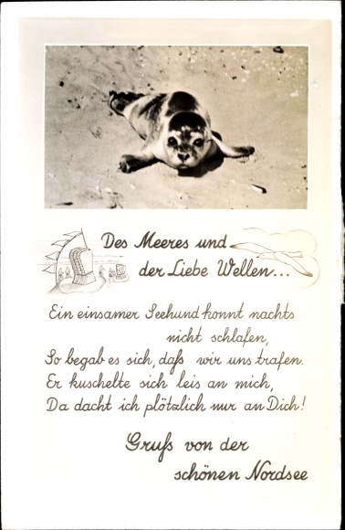 Postcard North Sea Germany, seal on the beach, waves of the sea and love