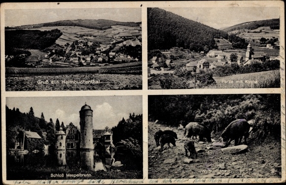 Postcard Mespelbrunn in the Spessart of Lower Franconia, Mespelbrunn Castle, Heimbuchental, wild boars