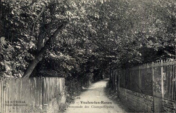 Ak Veules les Roses Seine-Maritime, Promenade des Champs-Elysees