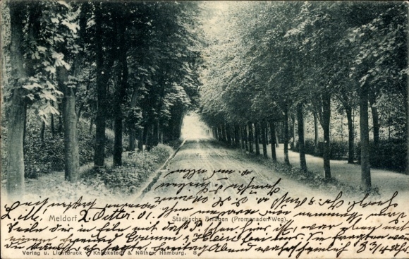 Ak Meldorf in Holstein, Promenaden-Weg