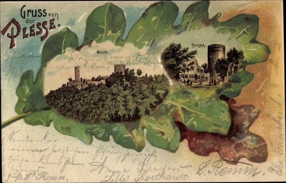 Liść dębu litho Eddigehausen Bovenden w Dolnej Saksonii, zamek Plesse, dziedziniec zamkowy