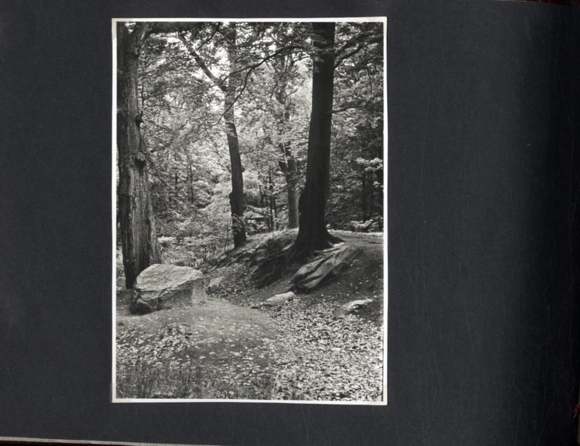 Photo album Spandau, Alt-Berlin, Pfaueninsel, late 1950s, city history, post-war