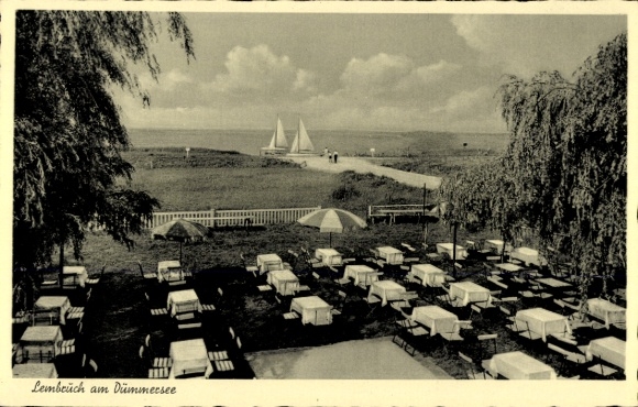 Ak Lembruch am Dümmersee, Brinkmeyers Strandlust, Panorama, Terras
