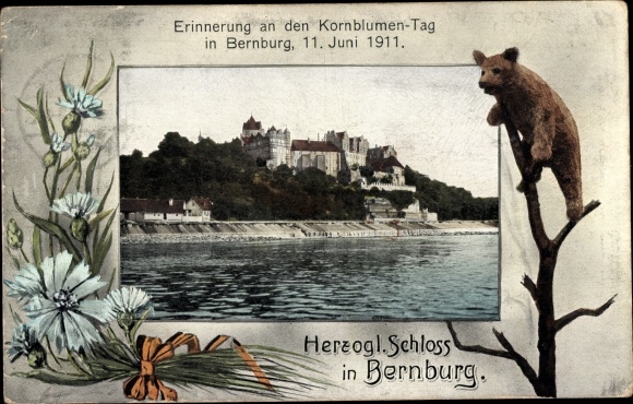 Passepartout PC Bernburg an der Saale, Ducal Castle, Cornflower Day 1911, bear