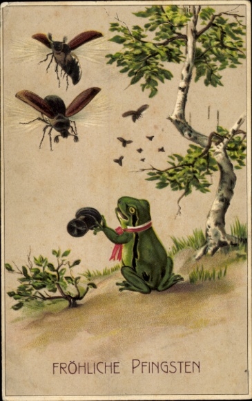 Präge Litho Glückwunsch Pfingsten, Maikäfer, Frosch