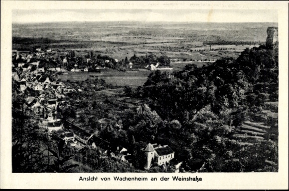 Postcard Wachenheim an der Weinstraße Pfalz, general view