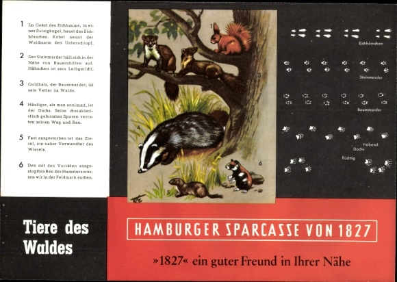 Hambuger Sparkasse timetable from 1827, animal tracks imprints of wild animals around 1960