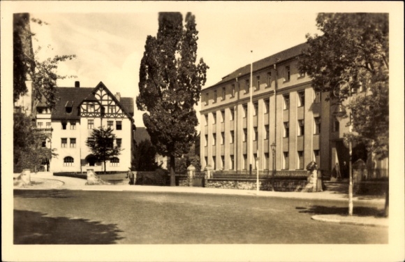 Postcard Bernburg an der Saale, view of buildings, street view, trees