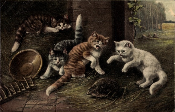 Postcard cats found a hedgehog, straw, rake, farm