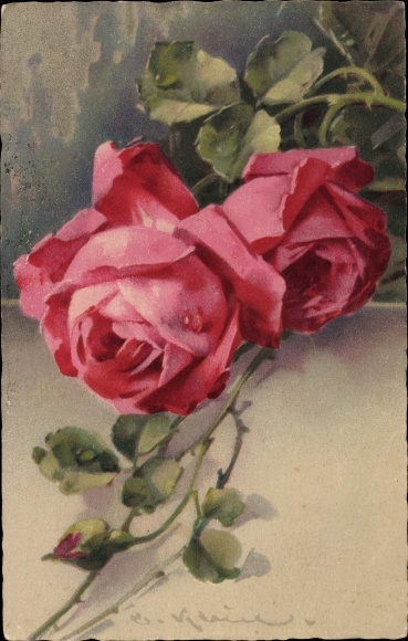Artist PC Klein, Catharina, roses, blossoms and buds