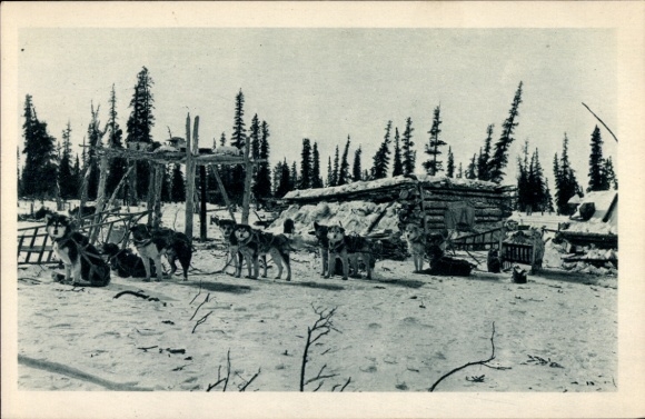 Ak Anchorage Alaska USA, hondenslee, sneeuwlandschap, houten huis, coniferen