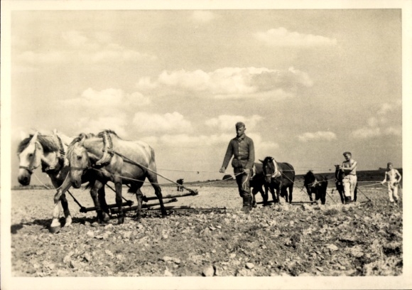 Postcard Waffen SS, At peaceful work, field work, horse-drawn plough