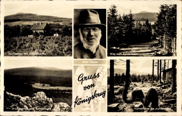 Postcard Königskrug Braunlage in the Upper Harz, Old Harzer, Brocken from the Achtermann, camel spruce