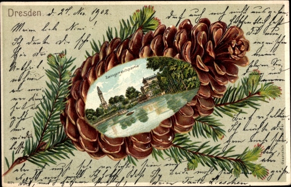 Pine cones Chromo-Litho Dresden Altstadt, Zwingerteich