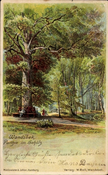 Chromo-Litho Hamburg Wandsbek, Grove