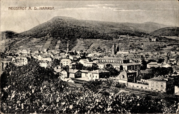 Ak Neustadt an der Haardt Neustadt an der Weinstraße , Stadtansicht, Hügel, Kirche, Gebäude, Schw