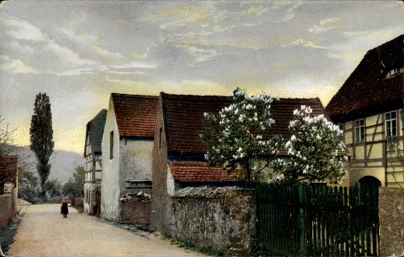 Postcard Photochromie Nenke and Ostermaier 1269, spring blossom, street with residential buildings