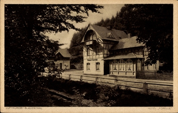 Postcard Blauenthal Eibenstock in the Ore Mountains Saxony, Hotel Parkrestaurant Forelle