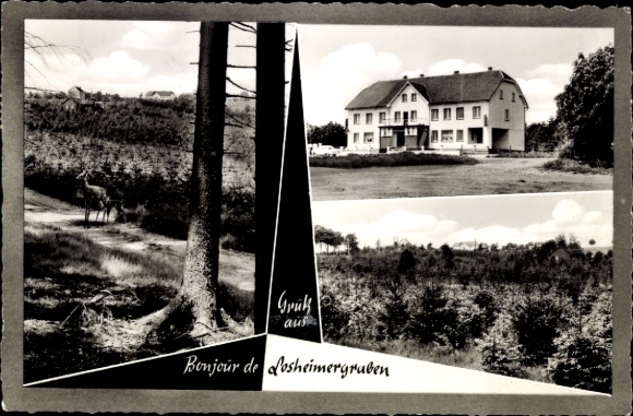 KP Losheimergraben Hellenthal w Eifel, Hotel Schröder
