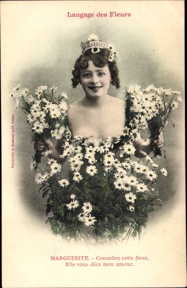 Postcard Language of Flowers, Daisy, Blumensprache