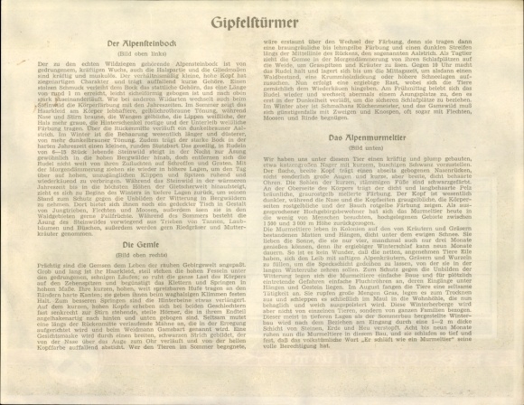 Timetable Savings Banks Cooperative, summiteers Alpine ibex, chamois, marmot around 1930