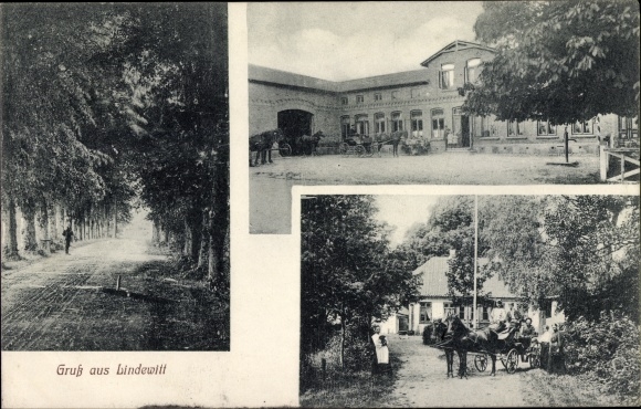 Ansichtkaart Lindewitt in Sleeswijk-Holstein, landhuis, koets, laan