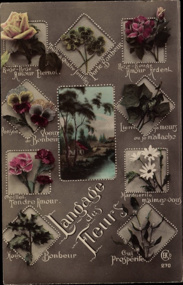 Postcard Flower Language, Blumensprache
