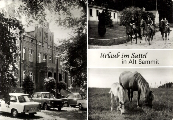 Postcard Alt Sammit Krakow am See, Dept. Alt Sammit of the VE stud farm Ganschow, horses