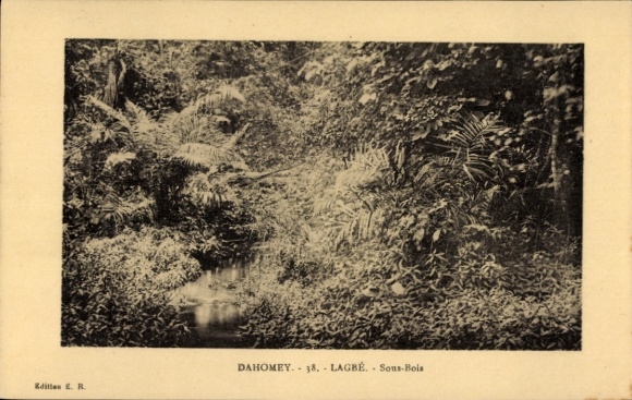 Ak Dahomey Benin, Dschungelblick, Fluss, grüne Pflanzen, natürliche Schönheit