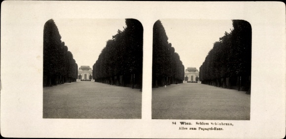 Stereo photo Vienna 13 Hietzing Austria, Schönbrunn Palace, avenue