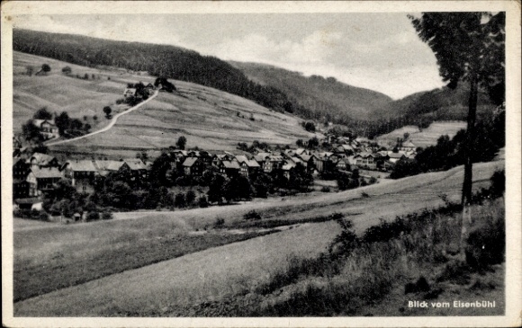 Ak Mengersgereuth Hämmern in Thüringen, Panorama, Blick vom Eisenbühl