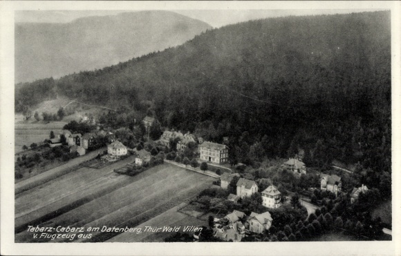 Ak Cabarz Tabarz im Thüringer Wald, Luftbild, Villen, Waldgebiet, Thüringen,  