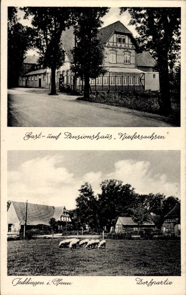 Postcard Jeddingen Visselhövede in Lower Saxony, Inn Lower Saxony, Village Party