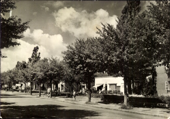 Postcard Dranske on Rügen, street with trees, houses, groups of people, clouds