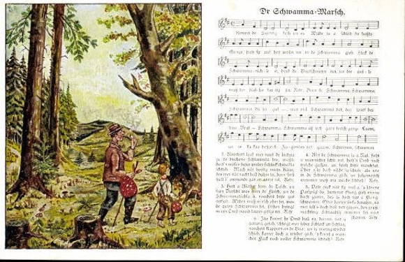 30 individual song cards, Anton Günther