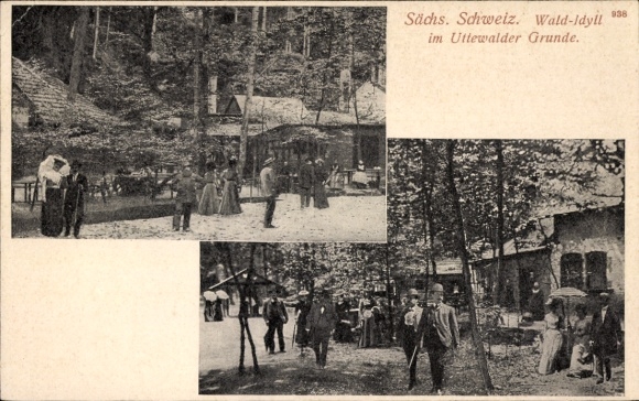 Ak Lohmen Sächsische Schweiz, Uttewalder Grund, Wald-Idyll