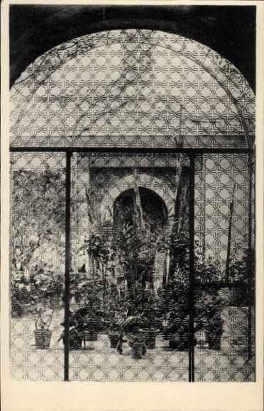 Postcard Córdoba Argentina, patio of a private residence, plants in pots, lattice structure